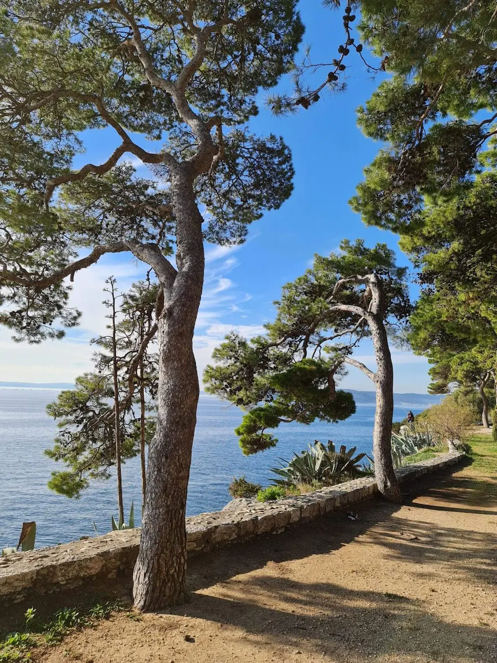 Uloga odvjetnika u kupoprodajama nekretnina